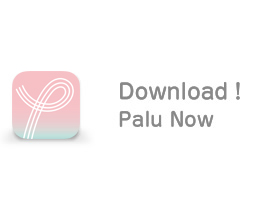 Download Palu Now