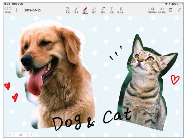 何枚でも写真を貼り付け