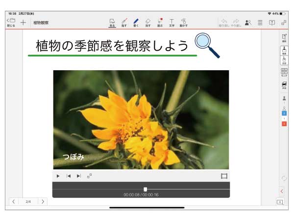 動画の貼り付け