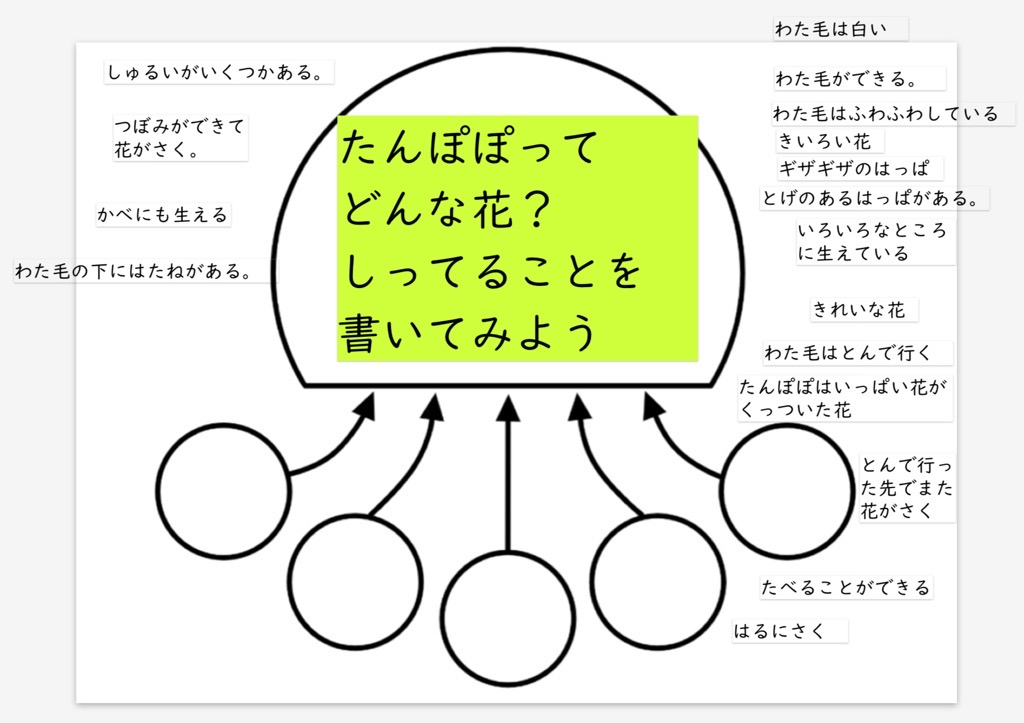 導入 たんぽぽについて知っていることを考え、共有する。