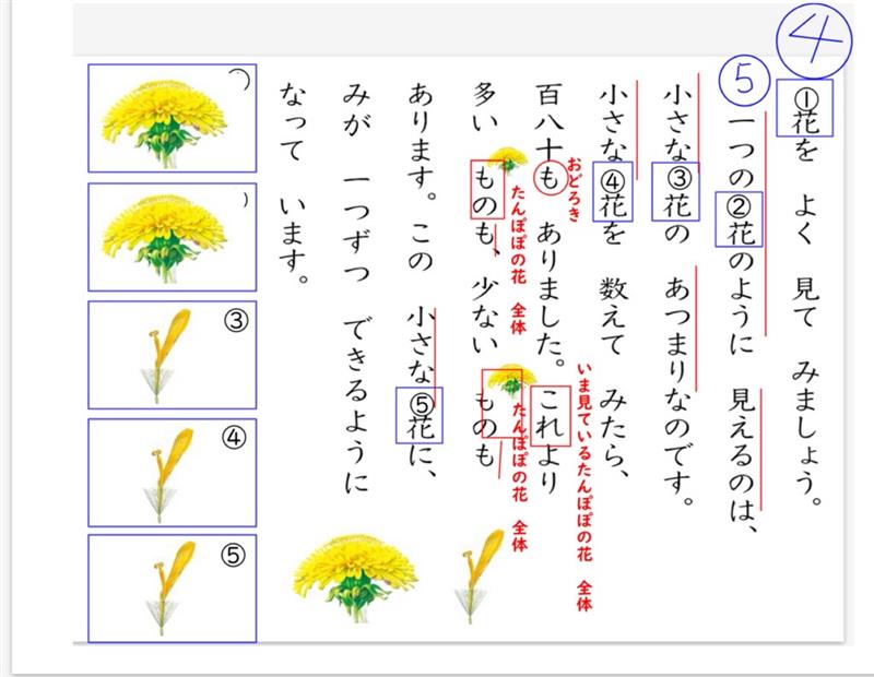 「花」という言葉が表す内容を考える。(2)