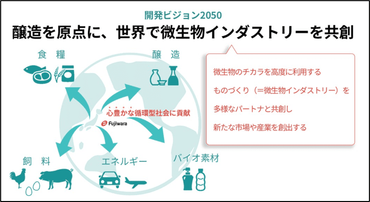 開発ビジョン2050