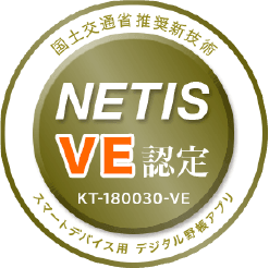 NETIS VE認定